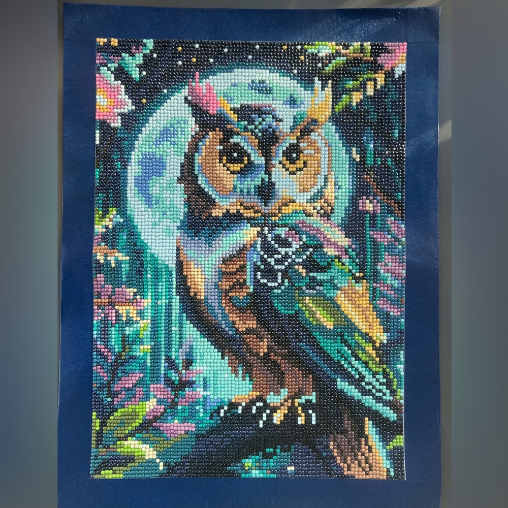 Colorful Wise Owl under the Moon Diamond Painting completed 🦉observer Let Them